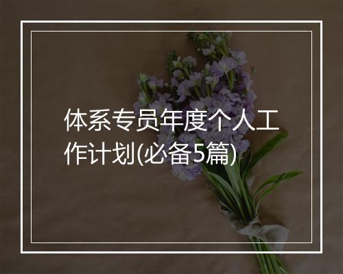 体系专员年度个人工作计划(必备5篇)