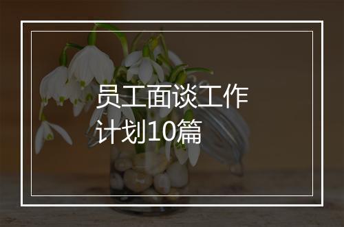 员工面谈工作计划10篇
