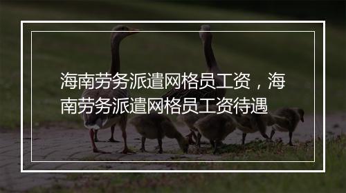 海南劳务派遣网格员工资，海南劳务派遣网格员工资待遇