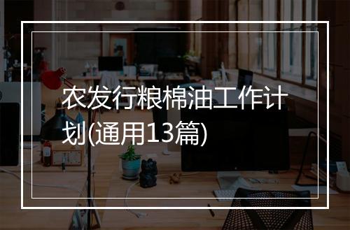 农发行粮棉油工作计划(通用13篇)