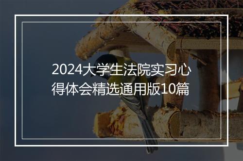 2024大学生法院实习心得体会精选通用版10篇