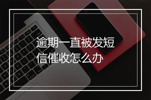 逾期一直被发短信催收怎么办