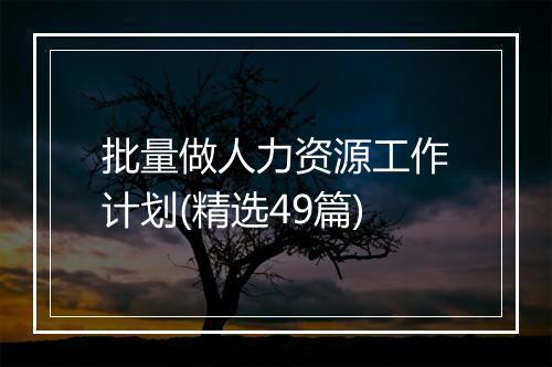 批量做人力资源工作计划(精选49篇)