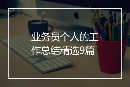 业务员个人的工作总结精选9篇