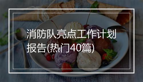 消防队亮点工作计划报告(热门40篇)