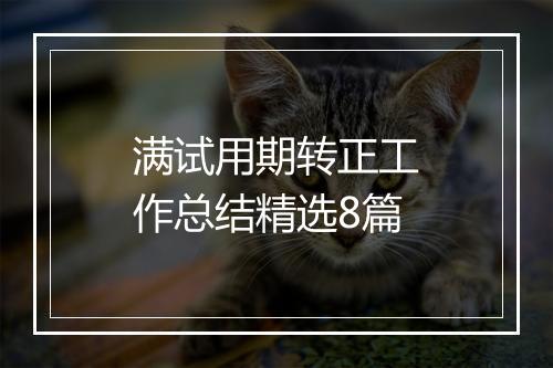 满试用期转正工作总结精选8篇