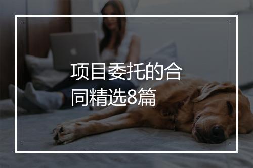 项目委托的合同精选8篇