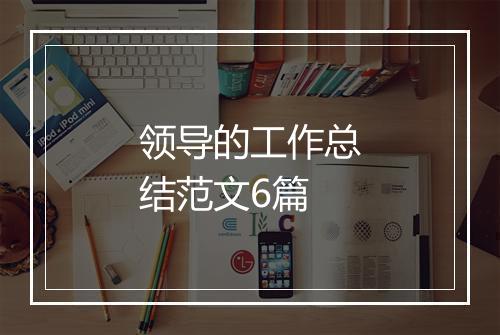 领导的工作总结范文6篇
