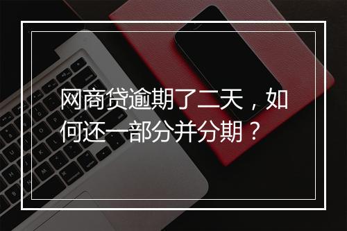 网商贷逾期了二天，如何还一部分并分期？