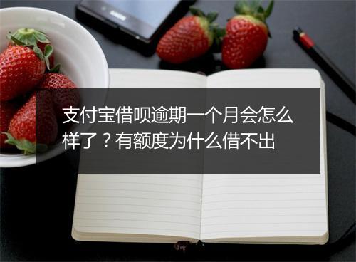 支付宝借呗逾期一个月会怎么样了？有额度为什么借不出