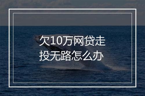 欠10万网贷走投无路怎么办