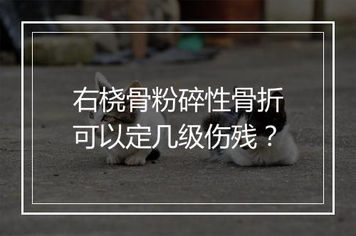 右桡骨粉碎性骨折可以定几级伤残？
