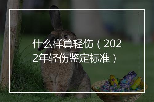 什么样算轻伤（2022年轻伤鉴定标准）