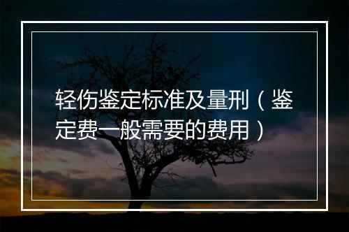 轻伤鉴定标准及量刑（鉴定费一般需要的费用）