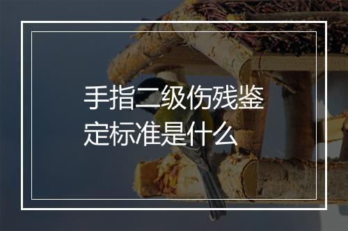 手指二级伤残鉴定标准是什么