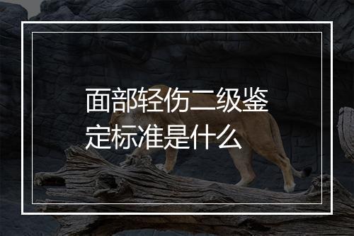 面部轻伤二级鉴定标准是什么