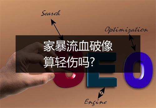 家暴流血破像算轻伤吗?