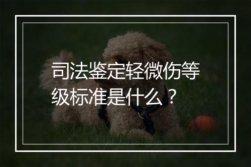 司法鉴定轻微伤等级标准是什么？