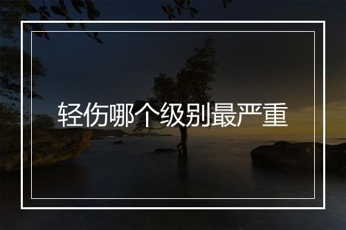 轻伤哪个级别最严重