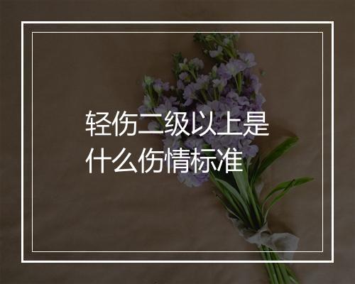 轻伤二级以上是什么伤情标准