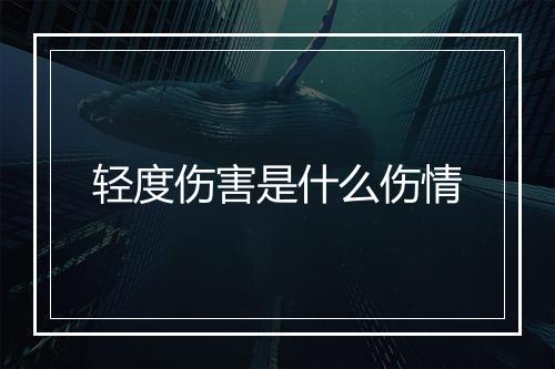 轻度伤害是什么伤情