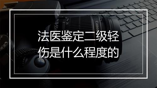 法医鉴定二级轻伤是什么程度的