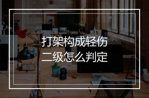 打架构成轻伤二级怎么判定