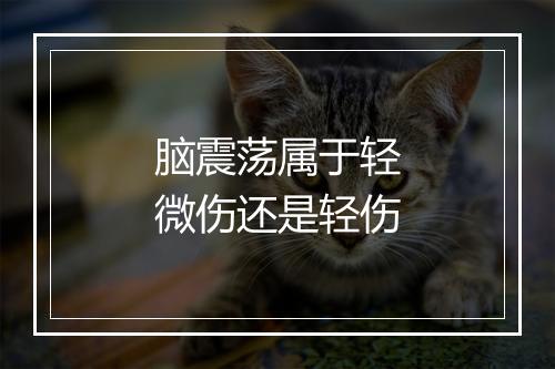 脑震荡属于轻微伤还是轻伤