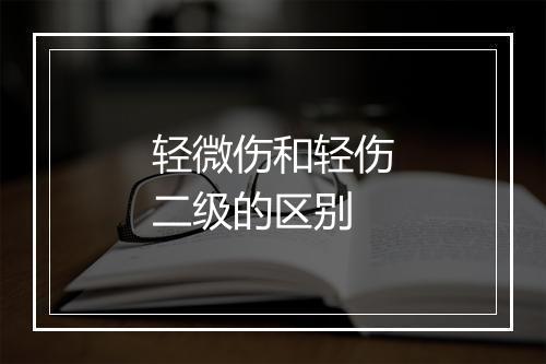 轻微伤和轻伤二级的区别