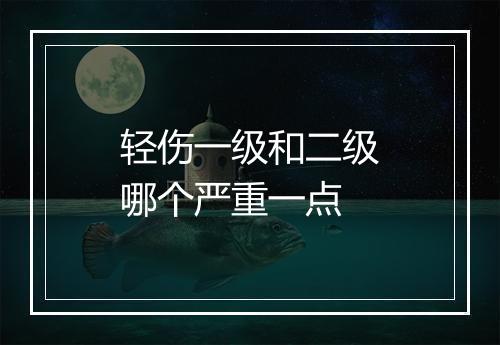 轻伤一级和二级哪个严重一点