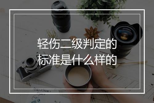 轻伤二级判定的标准是什么样的