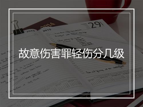 故意伤害罪轻伤分几级