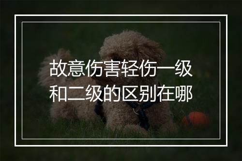 故意伤害轻伤一级和二级的区别在哪