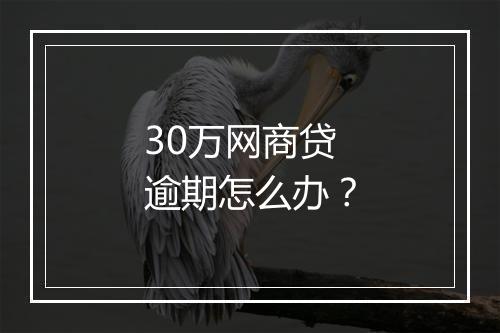 30万网商贷逾期怎么办？