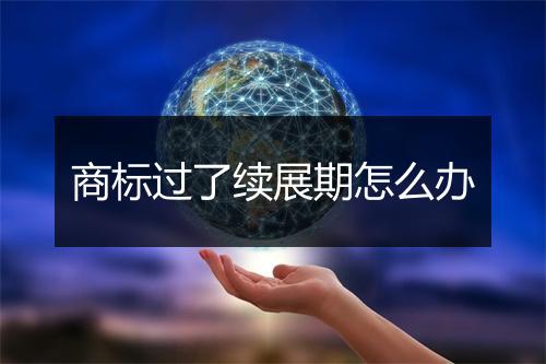 商标过了续展期怎么办