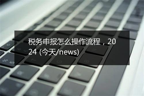税务申报怎么操作流程，2024 (今天/news)