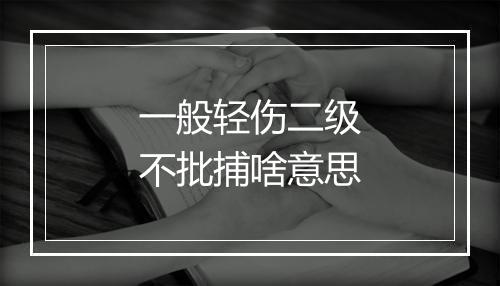 一般轻伤二级不批捕啥意思