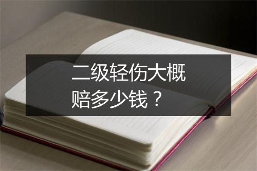 二级轻伤大概赔多少钱？