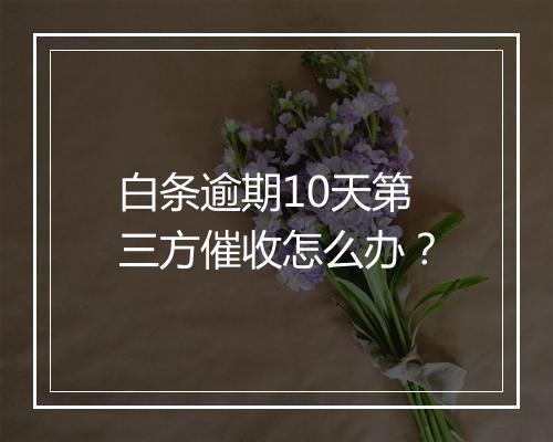 白条逾期10天第三方催收怎么办？