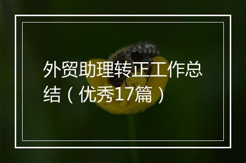 外贸助理转正工作总结（优秀17篇）