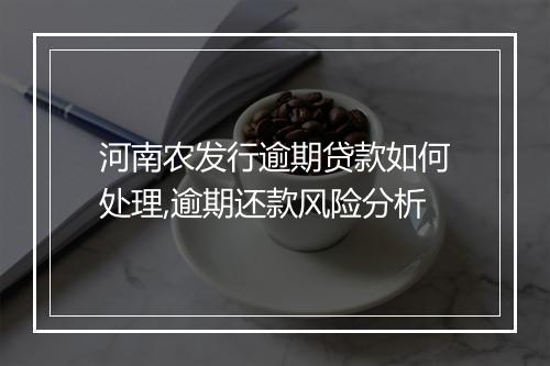 河南农发行逾期贷款如何处理,逾期还款风险分析