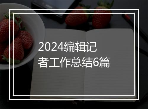 2024编辑记者工作总结6篇
