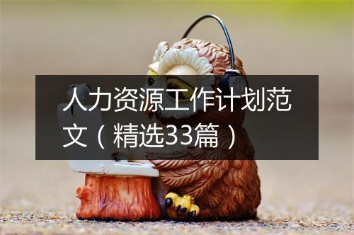 人力资源工作计划范文（精选33篇）