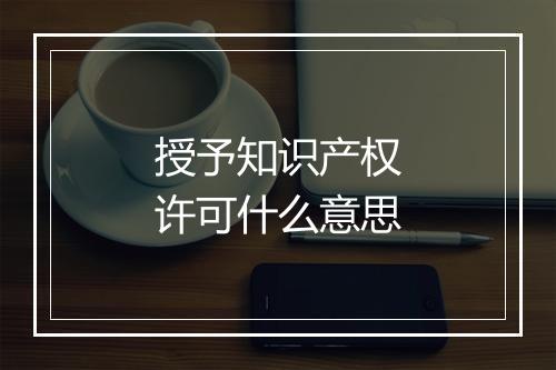 授予知识产权许可什么意思