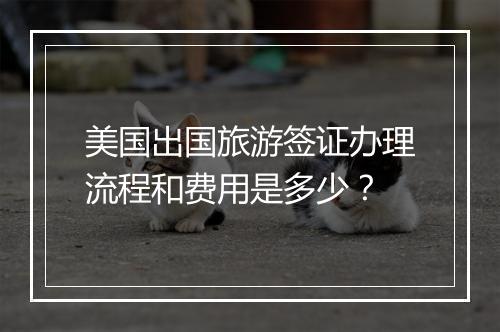 美国出国旅游签证办理流程和费用是多少？