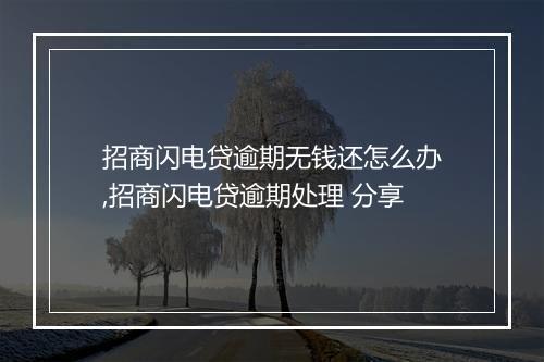 招商闪电贷逾期无钱还怎么办,招商闪电贷逾期处理 分享