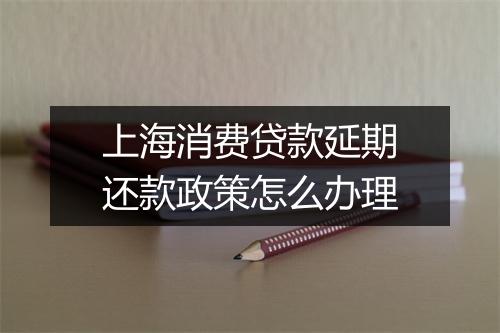 上海消费贷款延期还款政策怎么办理