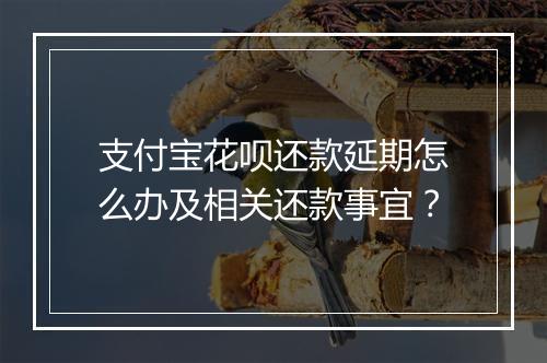 支付宝花呗还款延期怎么办及相关还款事宜？