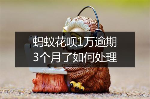 蚂蚁花呗1万逾期3个月了如何处理