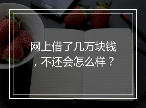 网上借了几万块钱，不还会怎么样？